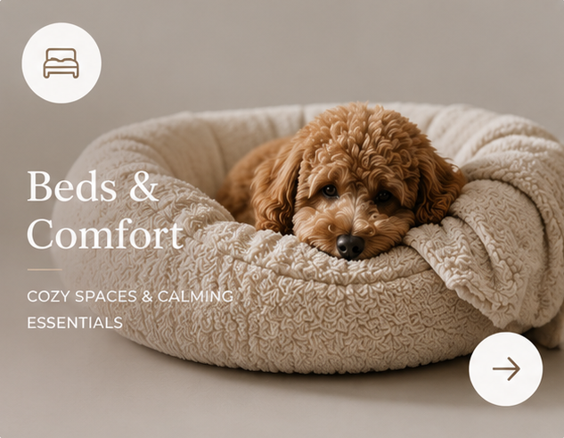 Beds & Comfort