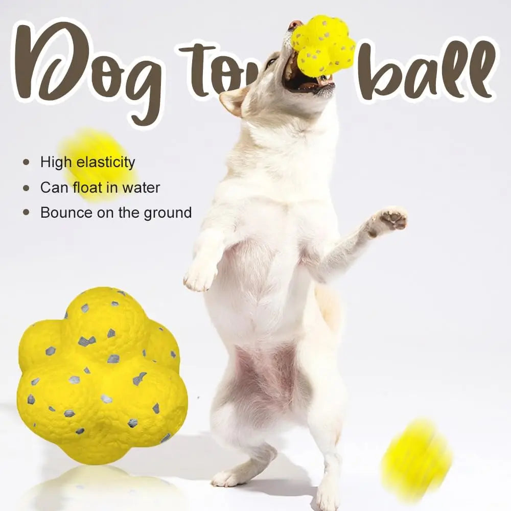 ETPU Bite-Resistant Dog Training Ball in the Dog Winter Walk Set