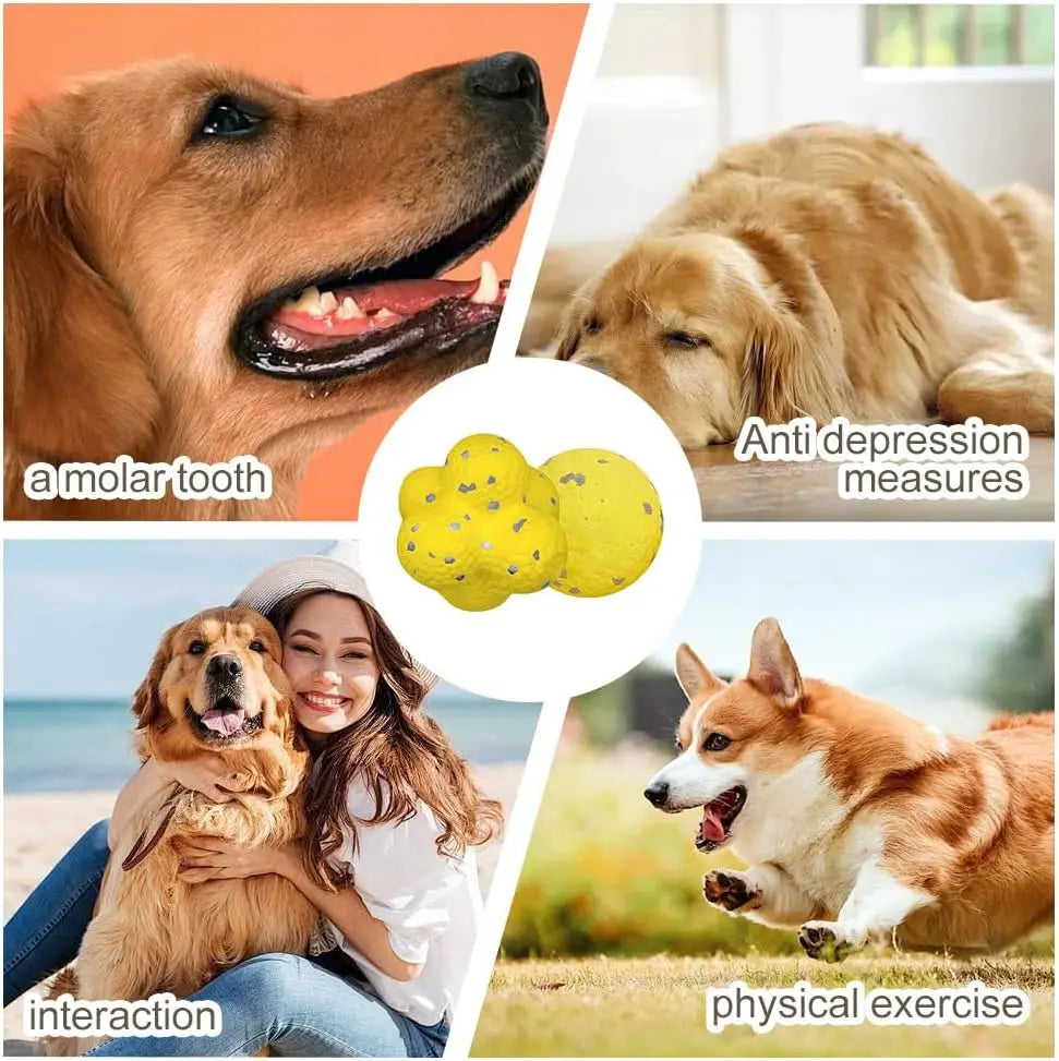 ETPU Bite-Resistant Dog Training Ball