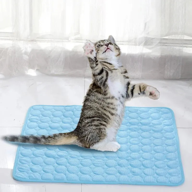 Cooling Gel Pad in the Cat Summer Comfort & Play Set