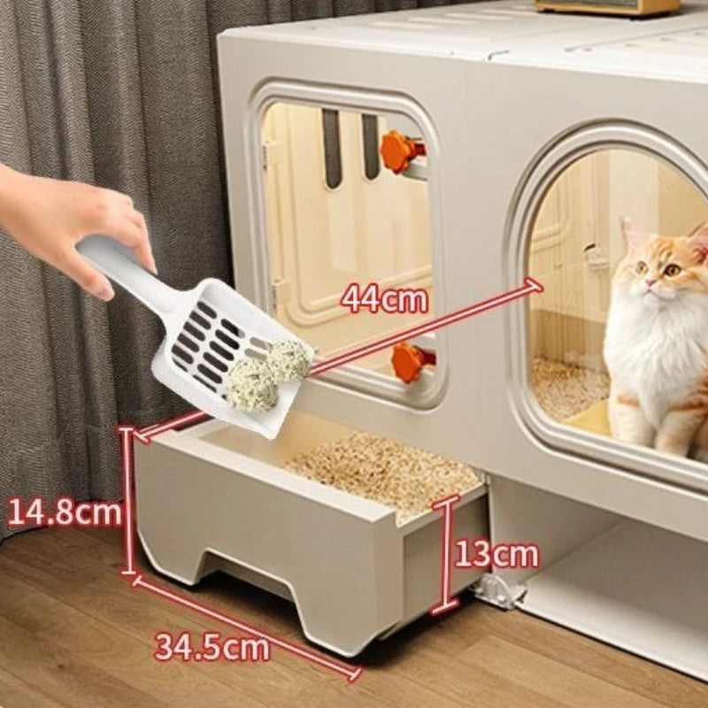 Cat house dimensions and layout | PatLab