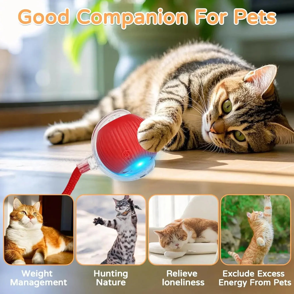 Smart Rolling Ball Cat Toy — Blue