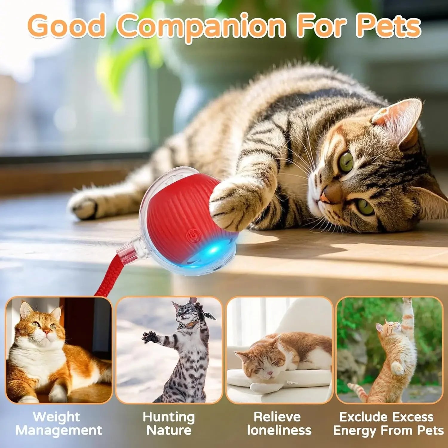 Smart Rolling Ball Cat Toy — Blue
