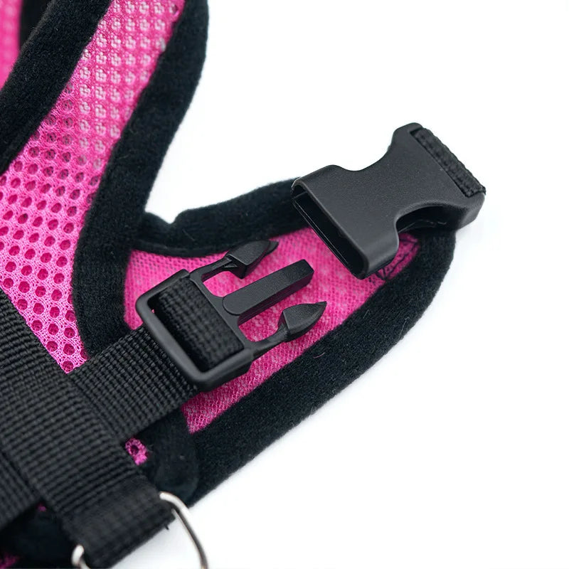 Reflective Mesh Walking Harness