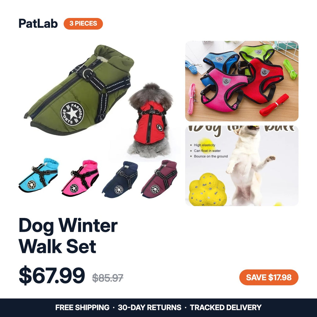 Dog Winter Walk Set — 3 pieces: waterproof jacket, reflective harness, bite-resistant ball. $67.99, was $85.97