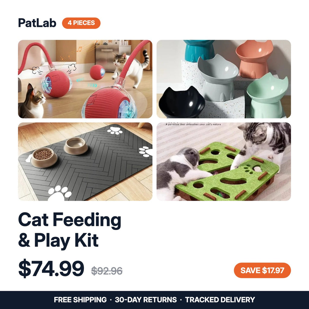 Cat Feeding & Play Kit — 4 pieces: rolling ball, elevated bowl, spill mat, puzzle feeder. $74.99, was $92.96